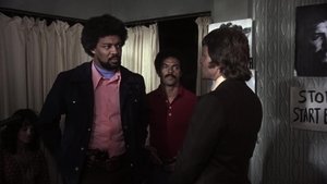 Pólvora negra