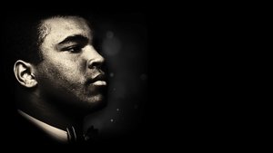 El regreso de Ali: la historia jamás contada
