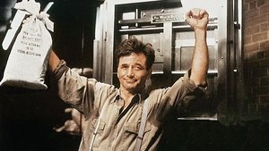 El mayor robo del siglo