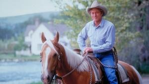 El hombre que susurraba a los caballos