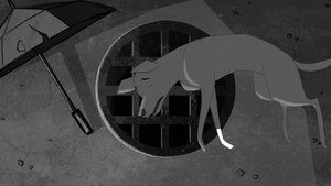 The Dog
