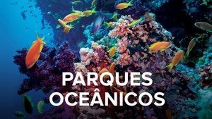 Ocean Parks