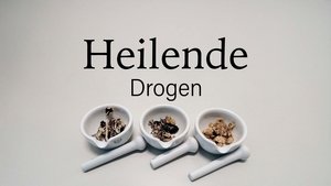 Drugs that Heal: Could Psychedelics Treat Depression?