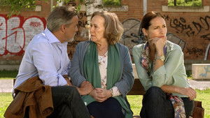 Os Gatos Não Têm Vertigens