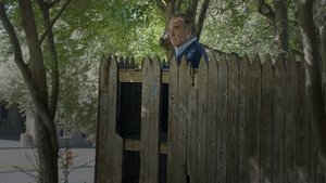 JFK Revisited: Through the Looking Glass