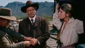 Wanted: The Sundance Woman