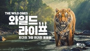 The Wild Ones