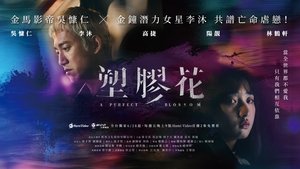 塑膠花