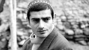 The World's Most Beautiful Swindlers
