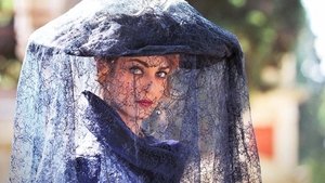 The Lady with the Black Veil