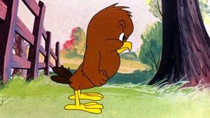 Walky Talky Hawky