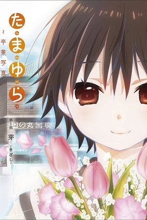 Tamayura: Sotsugyou Shashin, Parte 1 - Kizashi