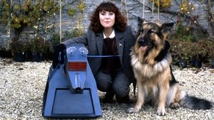 K-9 and Company: A Girl's Best Friend