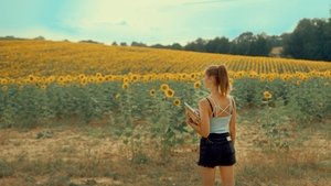 Se souvenir des tournesols
