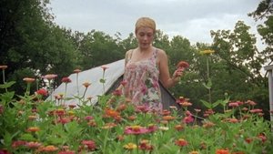 Tennessee Gothic