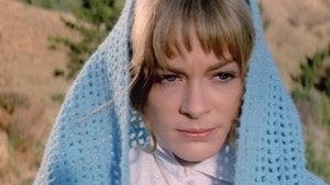 The True Nature of Bernadette