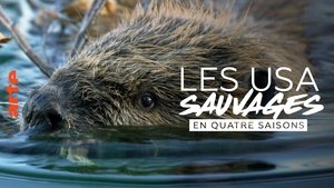 America's Wild Seasons