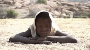 Amani