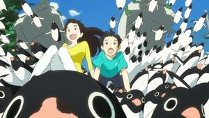 Penguin Highway: El misterio de los pingüinos