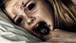 The Containment