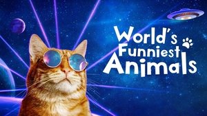 World's Funniest Animals