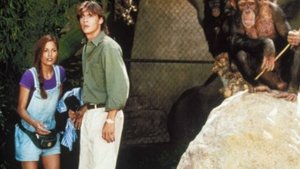 ¡Qué genio de mono!