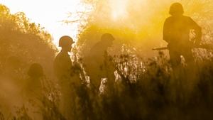 Eyewitness: D-Day