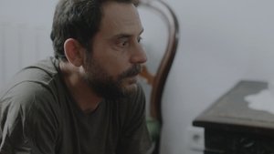 Les perseides