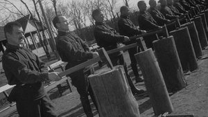 Entusiasmo. Sinfonía del Donbass