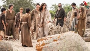 Vangelo secondo Maria