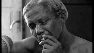 Nelson Cavaquinho
