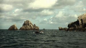 The Island