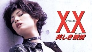 XX 美しき機能