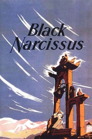 Narciso negro