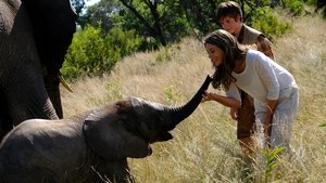 Una aventura africana