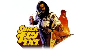 Super Fly T.N.T.