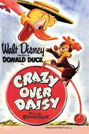 Loco por Daisy