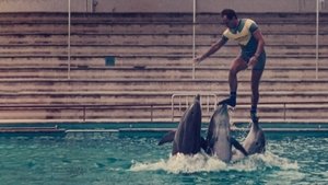 Qué le pasó al rey de los delfines