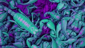 Ultraviolet