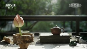 Chinese Garden