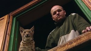 The Lynx Liaison