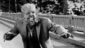 Los colmillos del lobo