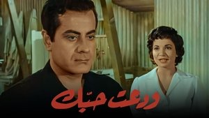 ودعت حبك