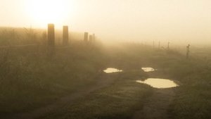 Harvest (Stadt Land Fluss)