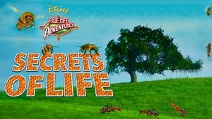 Secretos de la vida