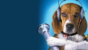 Como perros y gatos