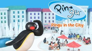 Pingu in the City