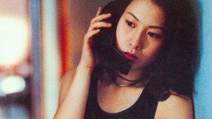 我的美麗與哀愁
