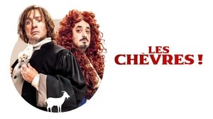 Les Chèvres !