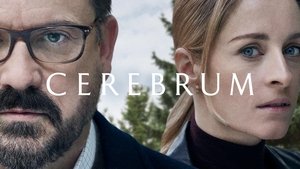 Cerebrum